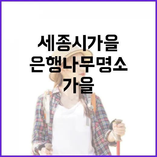 세종시 가을 은행나무 명소 3선