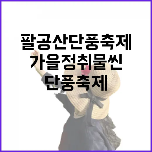 팔공산 단풍축제, …