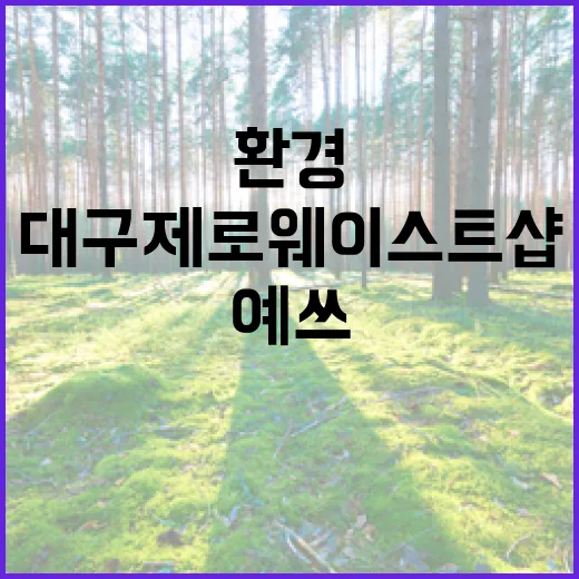 대구 제로웨이스트샵 예쓰, 환경 사랑 실천 현장