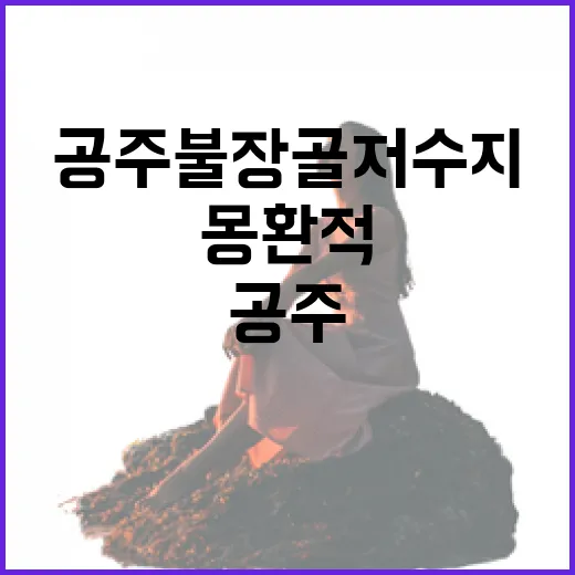 공주 불장골저수지의…