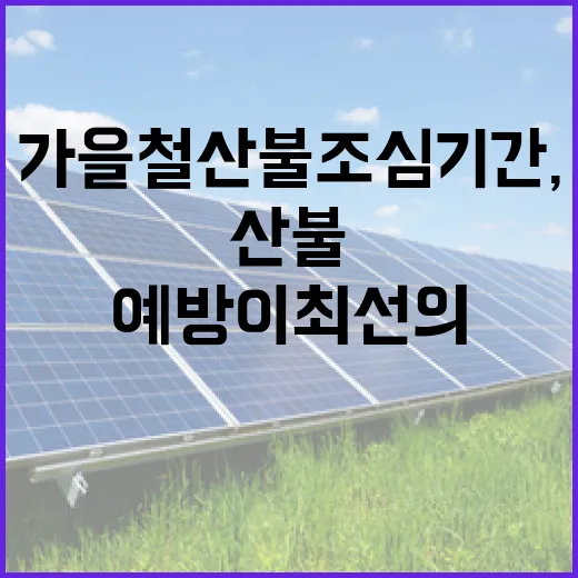 가을철 산불조심기간, 예방이 최선의 안전책