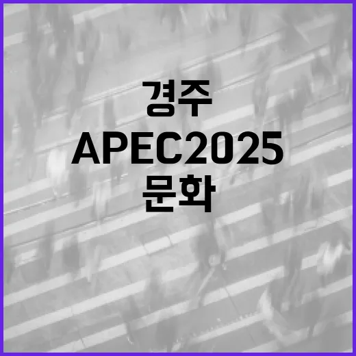 경주, APEC 2…