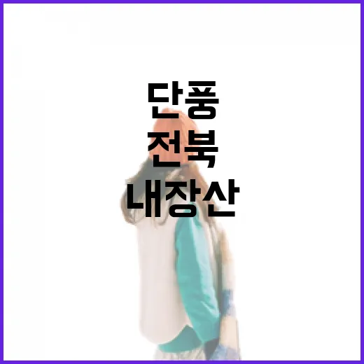 전북 내장산 단풍과 예술의 만남