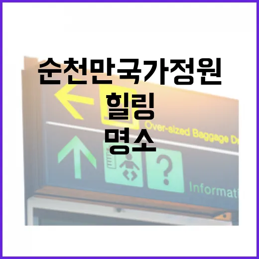 순천만국가정원, 자연과 힐링의 명소