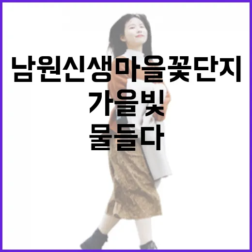 남원 신생마을 꽃단지, 가을빛으로 물들다