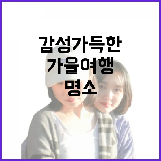 태안 가을 여행, 감성 가득한 명소 탐방