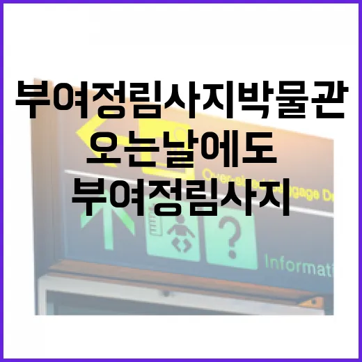 비 오는 날에도 빛나는 부여 정림사지박물관