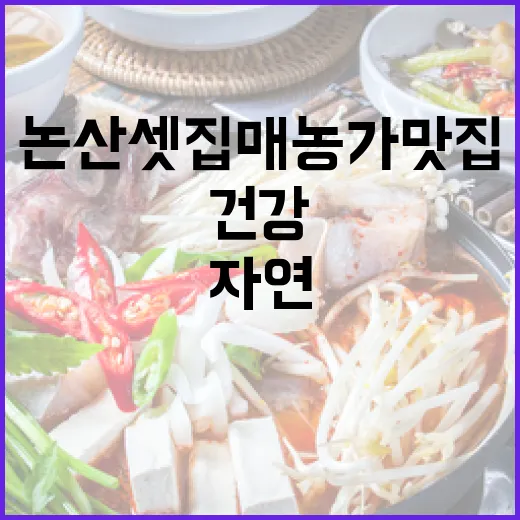 논산 셋집매 농가맛집, 자연의 건강함을 담다