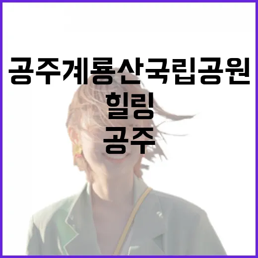 홍성 광천 꿀꿀이봉 등산기