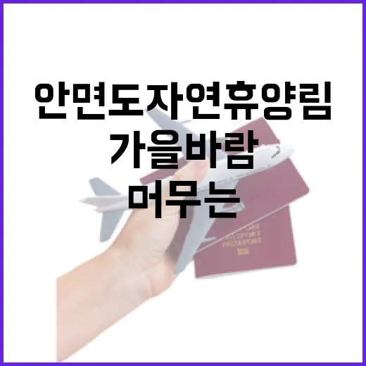 가을바람 머무는 안면도 자연휴양림