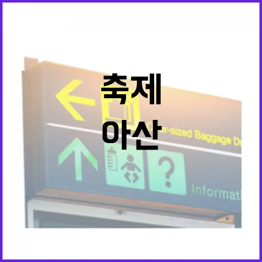 천안·아산 가을빛 축제 현장