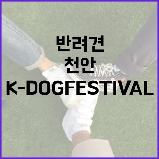 천안서 열리는 2025 K-DOG FESTIVAL 반려견 축제