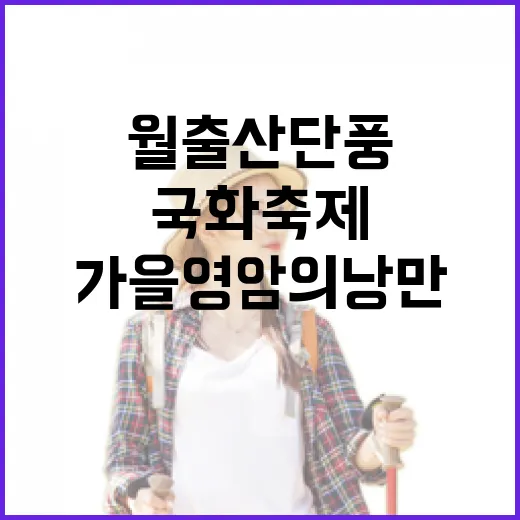 월출산 단풍과 국화축제, 가을 영암의 낭만