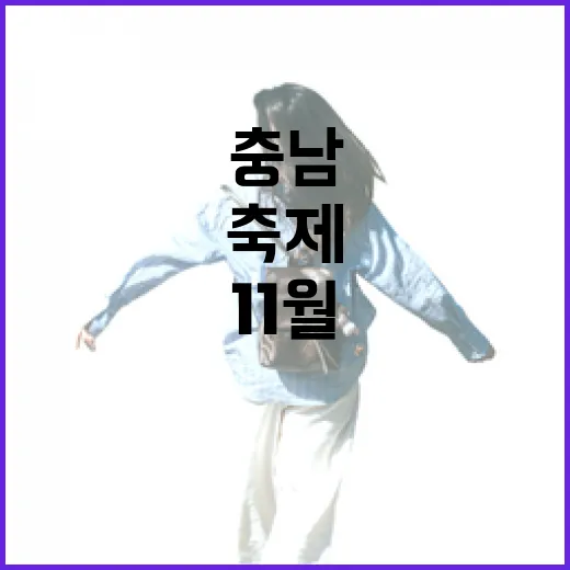 11월 충남 축제 총집합 1탄