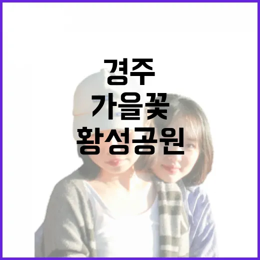 경주 황성공원 가을꽃 향연
