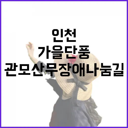 인천 관모산 무장애나눔길 가을 단풍 명소