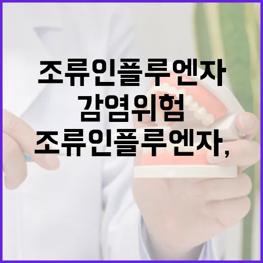 조류인플루엔자, 사람도 감염 위험 경계해야