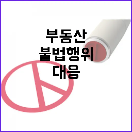 부동산 감독 추진단 출범, 불법행위 철저 대응