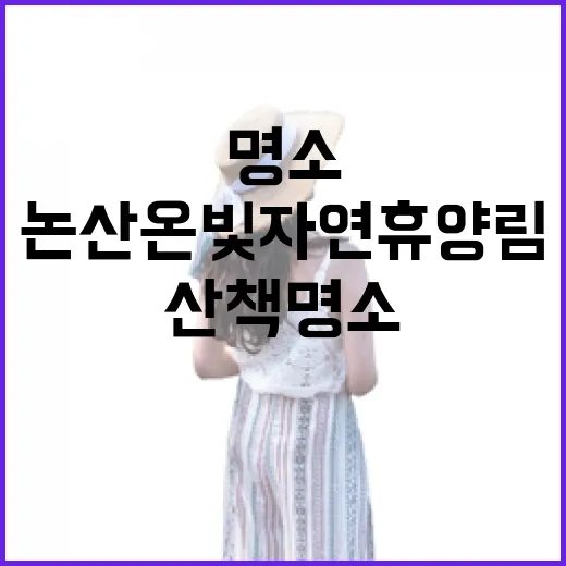 논산 온빛자연휴양림 가족 산책 명소