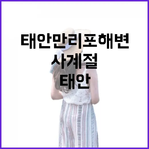 태안 만리포 해변, 사계절 힐링 명소