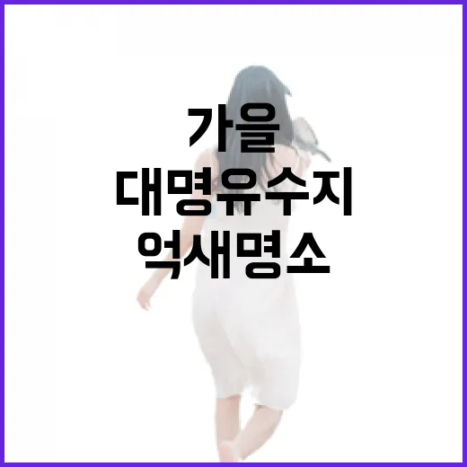 대명유수지 가을 억새 명소 탐방기