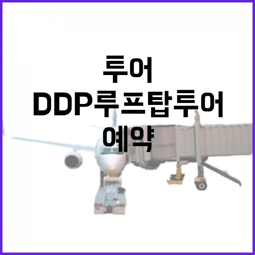 DDP 루프탑 투어 사전 예약 시작