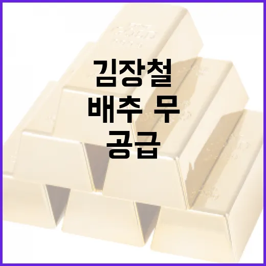 정부, 김장철 물가 안정 총력…배추·무 대규모 공급