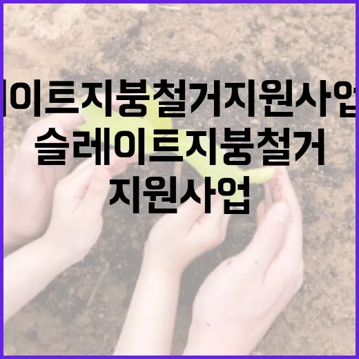 제주시, 슬레이트 지붕 철거 지원사업 신청하세요