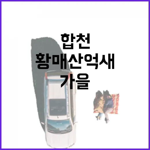 합천댐과 황매산 억새의 가을 풍경