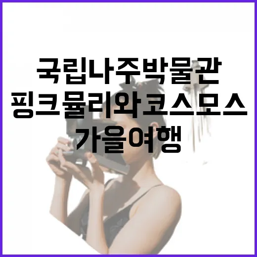 핑크뮬리와 코스모스 가득한 국립나주박물관 가을여행