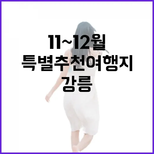 강릉, 11~12월 특별 추천 여행지 선정