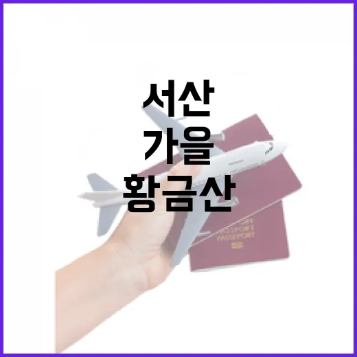 서산 황금산과 몽돌해변의 가을 풍경