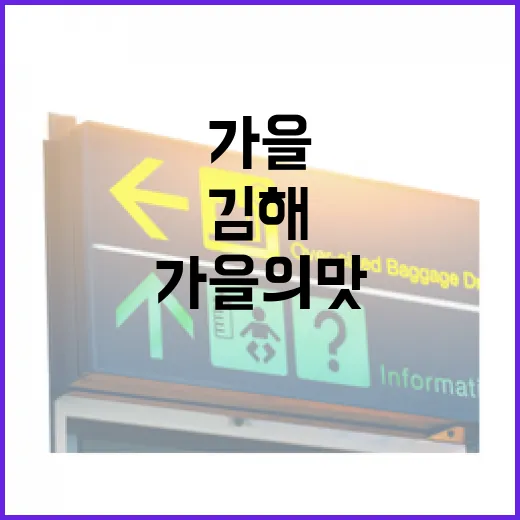 김해 진영 단감축제, 가을의 맛과 멋을 담다