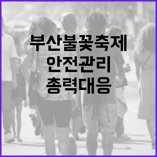 부산불꽃축제 안전관리위원회 총력 대응
