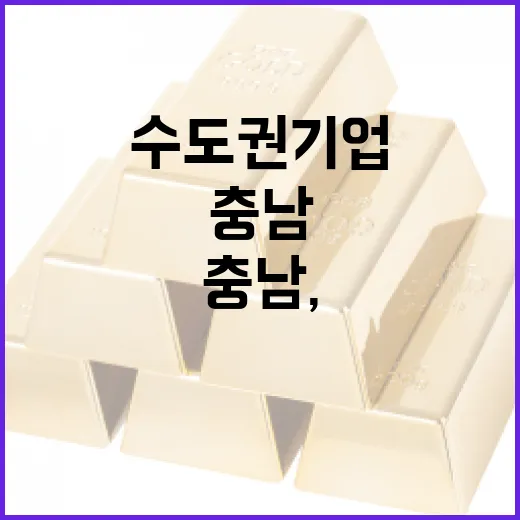 충남, 수도권 기업 유치 본격화