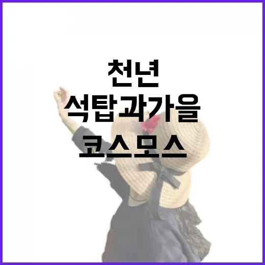 천년 석탑과 가을 코스모스, 강진 월남사지 산책