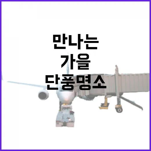 충남 단풍명소에서 만나는 가을 인생샷