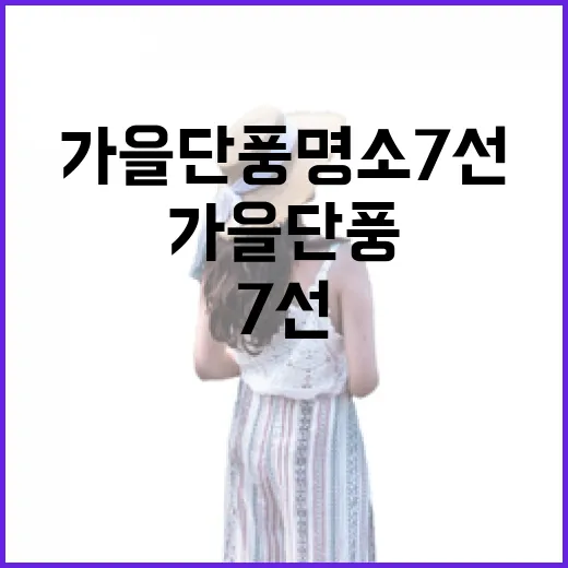 충북 가을 단풍 명소 7선