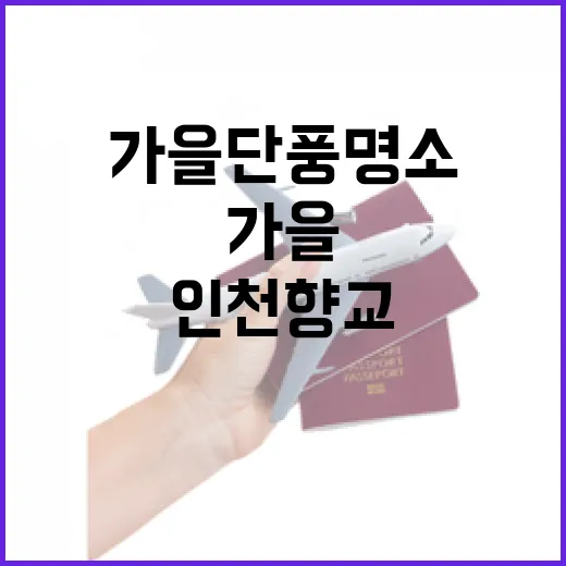 인천 가을 단풍 명소 인천향교와 월미공원