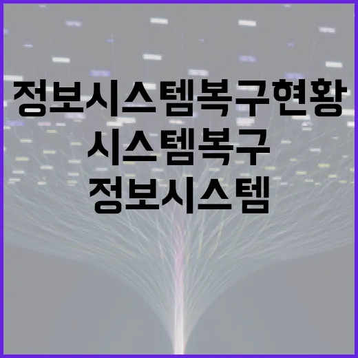 정보시스템 복구 현황과 전체 시스템 현황