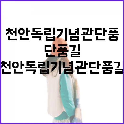 천안 독립기념관 단풍길 빛과 음악의 향연