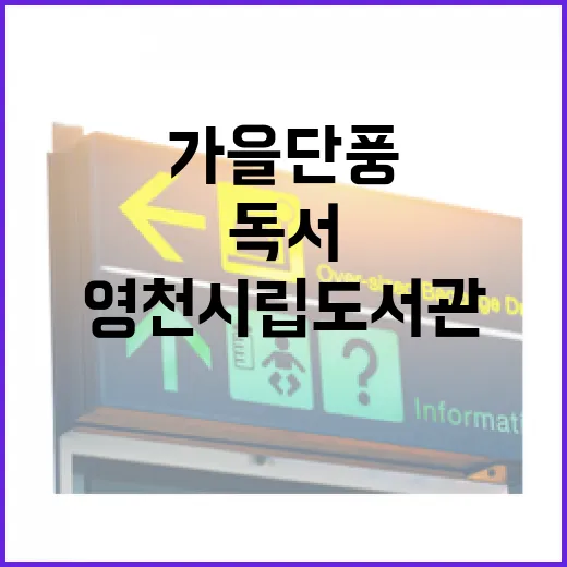 가을 단풍과 함께하는 영천시립도서관 독서여행