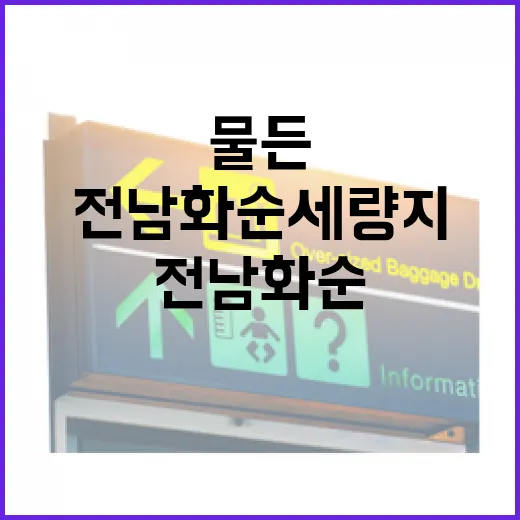 가을빛 물든 전남 화순 세량지의 몽환적 풍경