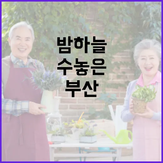 부산 밤하늘 수놓은 숨은그림 이벤트