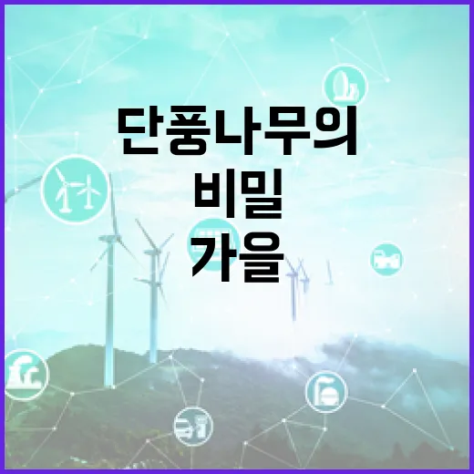 가을을 물들이는 단풍나무의 비밀