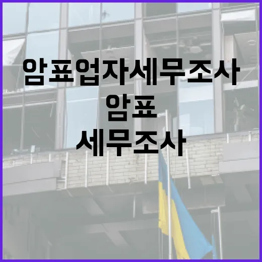 암표업자 세무조사 강화, 공공기관·교사 포함
