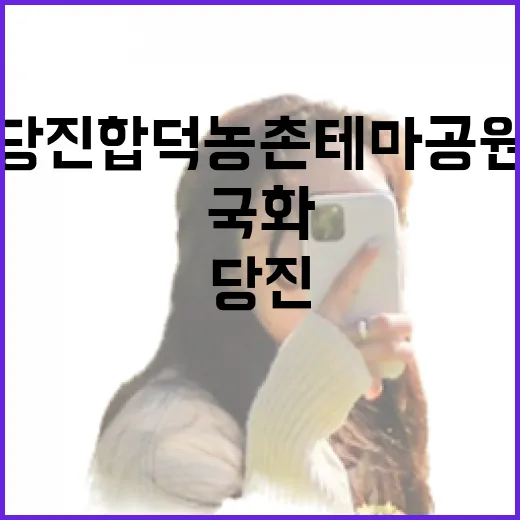 당진 합덕농촌테마공원 국화 향연