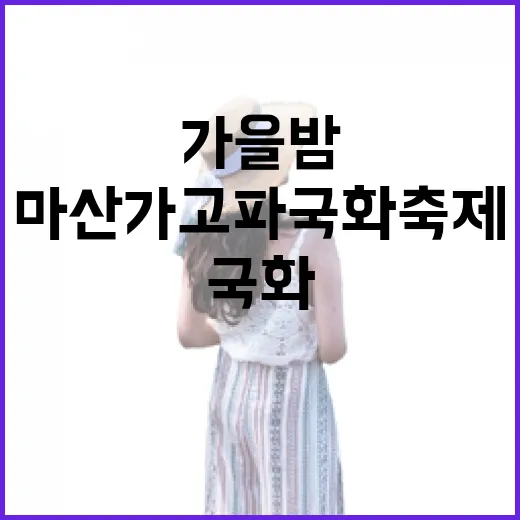 마산 가고파 국화축제, 가을밤 빛으로 물들다