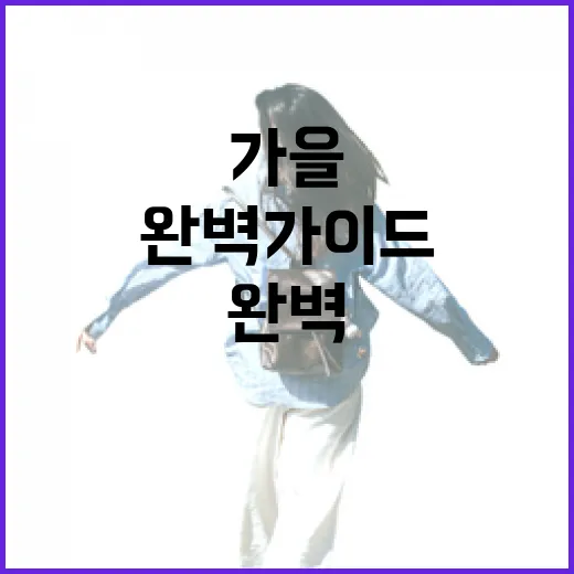 강화도 국화저수지 가을 산책 완벽 가이드