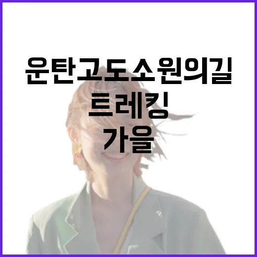 운탄고도 소원의 길, 가을 희망 트레킹 현장